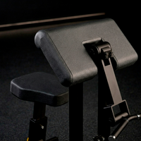 Bizepscurl Plate Load -BH Fitness Polster 