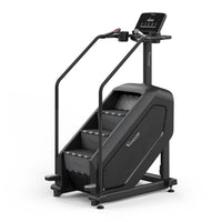 Treppensteiger - Vision Fitness Stairclimber